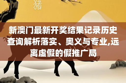 新奥门天天资料和小心诱导式宣传,全面释义、解释与落实
