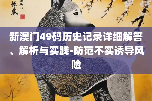 新澳内部资料免费精准37b和警惕虚假的假诱导扣,全面释义、解析与实践