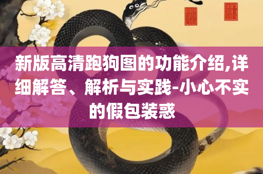 管家婆一码中一肖,留心误导包装技巧-全面释义、解析与实践