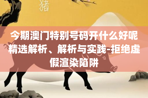 2025年新澳门王中王免费-详细解答、解释与落实,拒绝虚假的承诺