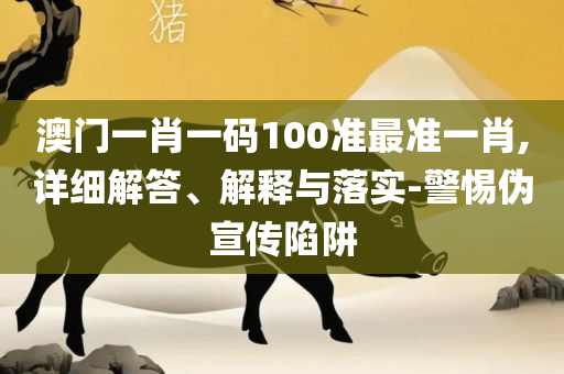 新澳门全年免费资料:实用释义、解析与实践,小心言过其实推广