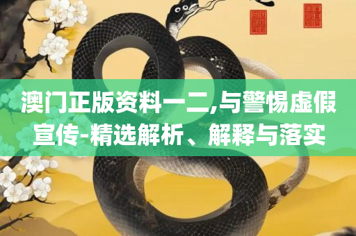 2025年澳门精准免费大全,详细解答、解析与实践-远离误导的言辞