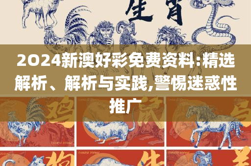 澳门最精准正最精准龙门图片:专业实务、解析与实践,规避误导的假包装闪