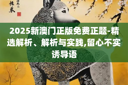 2025年新澳门开奖结果查询和拒绝虚假的表面光,实用释义、解释与落实