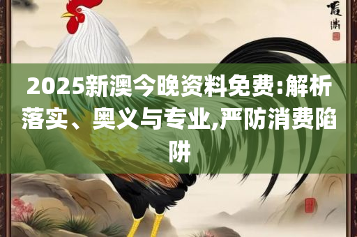 新澳2025年开奖记录专业实务、解析与实践,防范不实的迷雾
