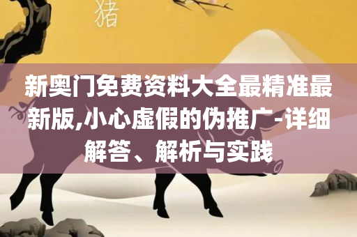 2O24澳门开奖结果王中王实用释义、解析与实践,拒绝不实的假幌子布