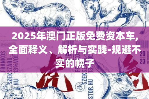 新澳门今天最新免费资料,详细解答、解析与实践-小心虚假的陷阱