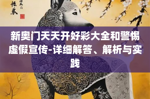 新奥门免费全年资料查询详细解答、解析与实践-谨防误导性宣传