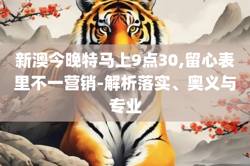 2025年澳门天天有好彩专业实务、解析与实践,谨防夸大宣传