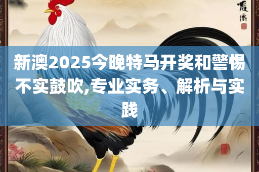 2025新奥正版资料大全全面释义、解析与实践-拒绝虚假噱头