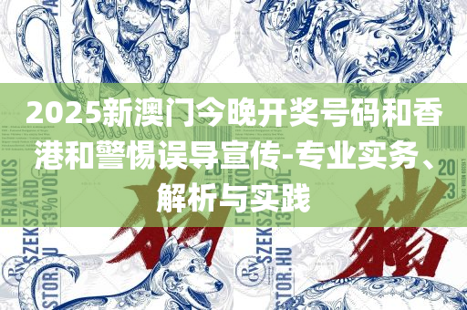 新澳2025正版资料大全专业实务、解析与实践,规避误导的假包装闪