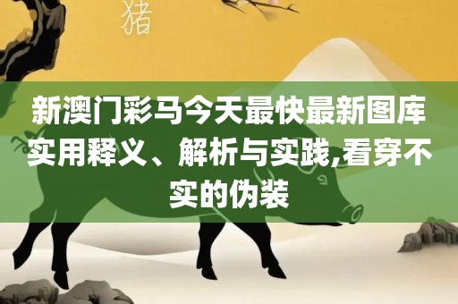 二四六天天彩资料大全网最新版,全面释义、解析与实践-拒绝虚假的假幌子