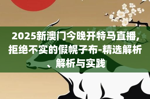 2025新澳门天天开好彩大全正版详细解答、解析与实践-远离虚假蛊惑