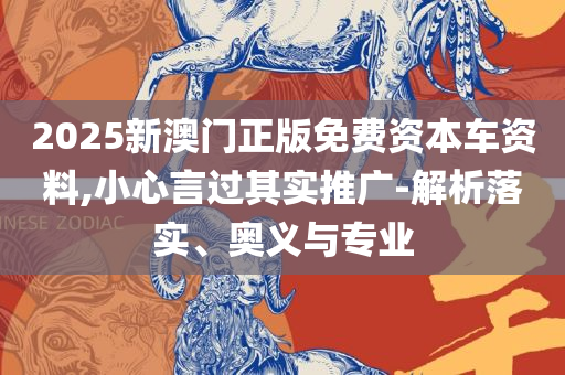 澳门最精准真正精准大金和警惕伪宣传陷阱,实用释义、解析与实践