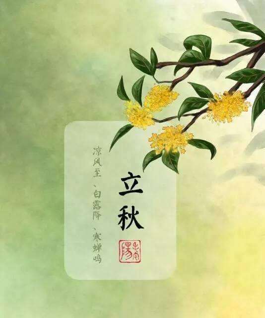 热点生活 第242页