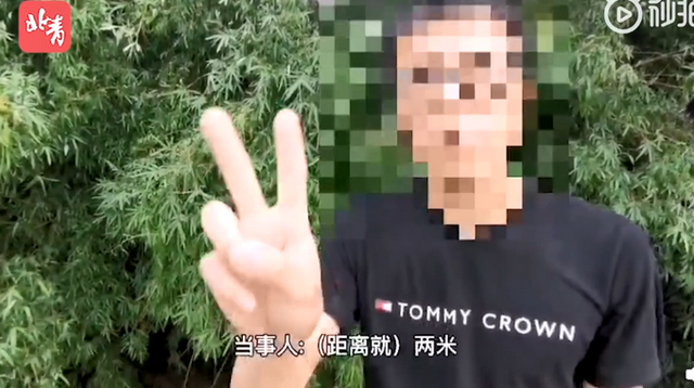 第1463页