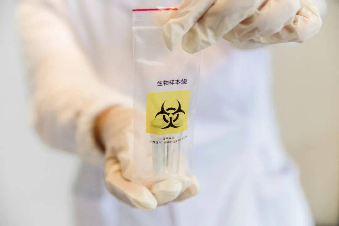 游戏专题 第248页