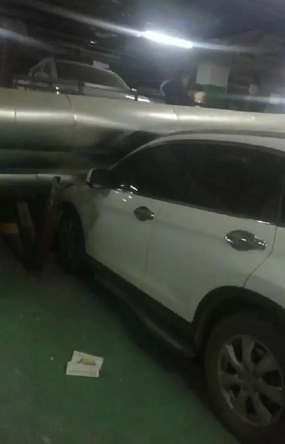 娱乐生活 第216页