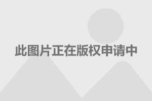 地方新闻 第13页