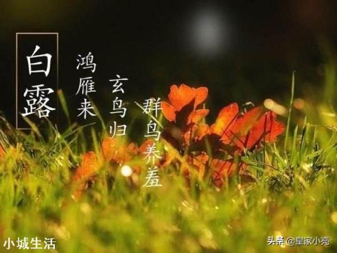 游戏专题 第6页